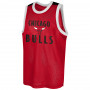 Chicago Bulls Mesh Tank and Short komplet dečji dres