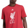 Liverpool Adidas DNA Graphic majica