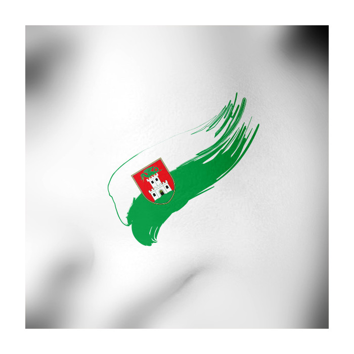 Ljubljana tattoo zastava
