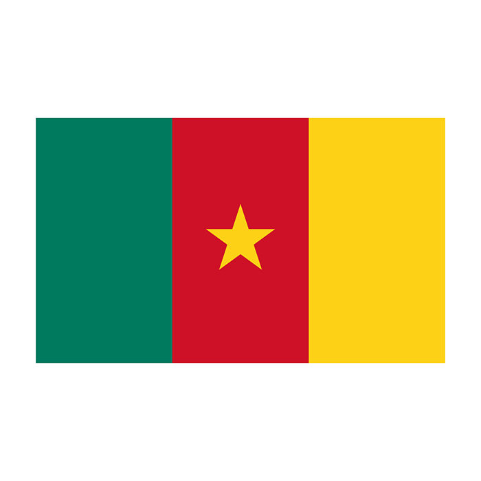 Kamerun Fahne Flagge 152x91