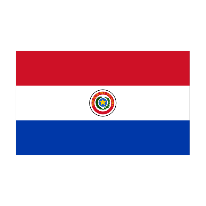 Paraguay Fahne Flagge 152x91