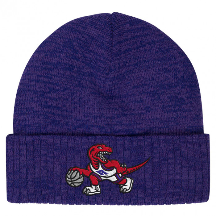 Toronto Raptors Mitchell & Ness HWC Fandom cappello invernale