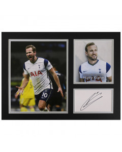 Harry Kane Signed 16"x12" Photo Display Tottenham Spurs Autograph Memorabilia COA