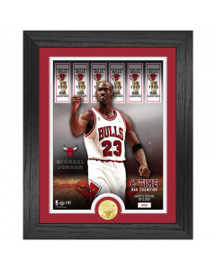 Michael Jordan 23 Chicago Bulls 6 Time NBA Champ Banners Bronze Coin Photo Mint bronasti kovanec in fotografija v okvirju