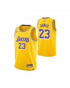 Lebron James 23 Los Angeles Lakers Nike Icon Edition Swingman Maglia per bambini