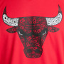 Chicago Bulls Adidas T-shirt da allenamento