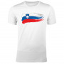 Slovenija T-shirt da uomo bandiera