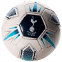 Tottenham Hotspur pallone