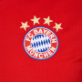Bayern Adidas Trikot