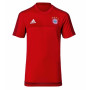 Bayern Adidas Training T-Shirt