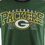 New Era Team Arch T-Shirt Green Bay Packers (11208511)