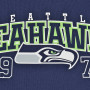 New Era Team Arch T-Shirt Seattle Seahawks (11208503)