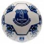 Everton pallone