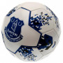 Everton pallone