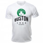 Boston Celtics Adidas T-Shirt (AJ1824)