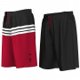 Chicago Bulls Adidas obojestranske kratke hlače (AH5048)