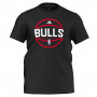 Chicago Bulls Adidas majica (AH5049)