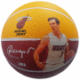 Miami Heat Spalding žoga Goran Dragić