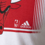 Chicago Bulls Adidas T-Shirt (AP5724)