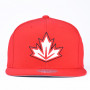 Kanada Mitchell & Ness Team Logo Snapback kapa