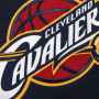 Cleveland Cavaliers Mitchell & Ness Team Logo felpa con cappuccio