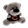Chicago Bears Timmy Teddy