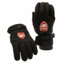 Arsenal Ski Handschuhe