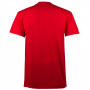 Chicago Blackhawks Majestic T-Shirt (MCK3728RE)