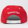 Detroit Red Wings Mitchell & Ness 2 Tone Team Arch Mütze