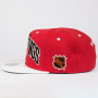 Detroit Red Wings Mitchell & Ness 2 Tone Team Arch kapa