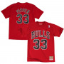 Scottie Pippen 33 Chicago Bulls Mitchell & Ness T-Shirt