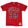 Scottie Pippen 33 Chicago Bulls Mitchell & Ness T-Shirt