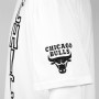 Chicago Bulls Mitchell & Ness Downcourt Long T-Shirt