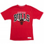 Chicago Bulls Mitchell & Ness Team Arch majica 
