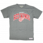 Detroit Red Wings Mitchell & Ness Team Arch majica 