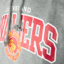 Cleveland Cavaliers Mitchell & Ness Team Arch duks sa kapuljačom