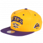 Los Angeles Lakers Mitchell & Ness Double Diamond kapa