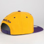 Los Angeles Lakers Mitchell & Ness Double Diamond cappellino