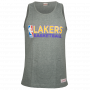 Los Angeles Lakers Mitchell & Ness Team Issue T-Shirt ärmellos 