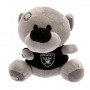 Oakland Raiders Timmy medvedek