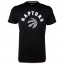 Toronto Raptors New Era Team Logo T-Shirt (11546136)