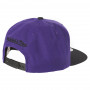 Sacramento Kings Mitchell & Ness XL Logo 2 Tone cappellino