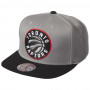 Toronto Raptors Mitchell & Ness XL Logo 2 Tone cappellino