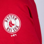 Boston Red Sox New Era Team Apparel T-Shirt (11517705)
