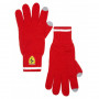 Ferrari Winter Handschuhe