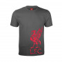 Liverpool Graphic T-shirt per bambini 