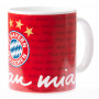 FC Bayern München šolja