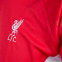 Liverpool Panel T-shirt da allenamento
