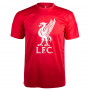 Liverpool Crest Kinder Training T-Shirt