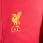 Liverpool V-Neck Panel uniforme da allenamento per bambini